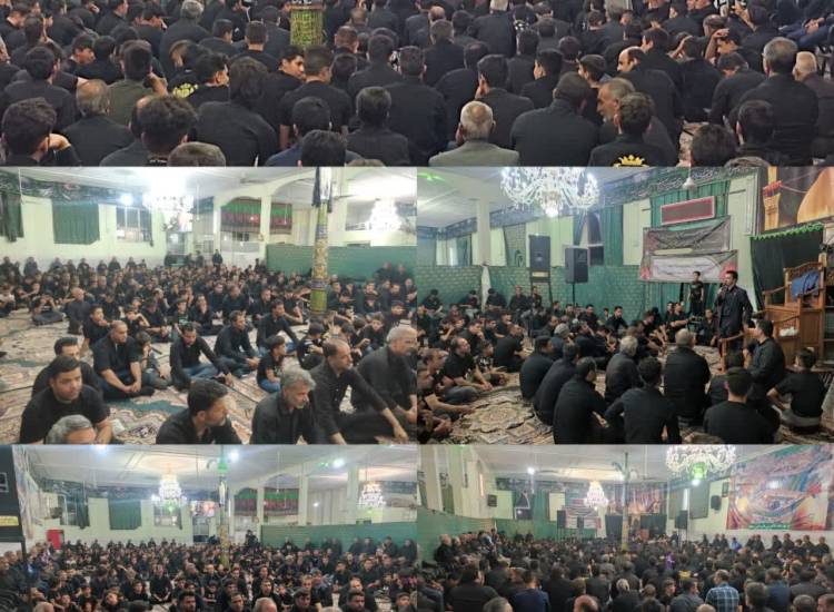 ناحیه کاشمر، خراسان رضوی